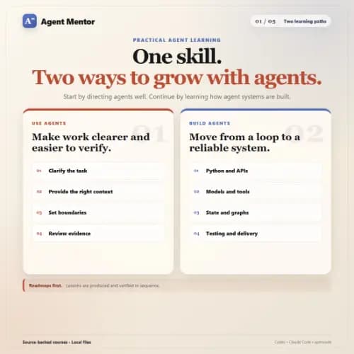 Agent Mentor