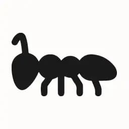 Antwork