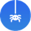 Spidra