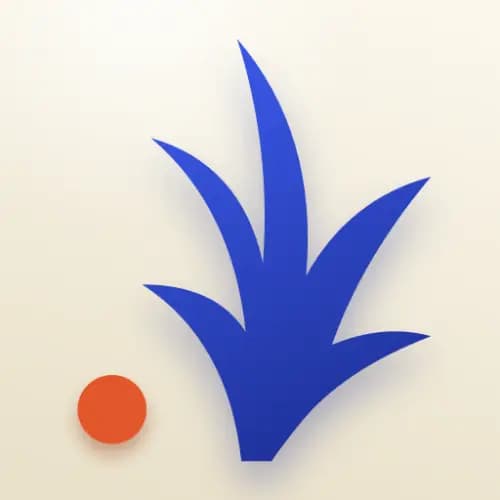 Verso