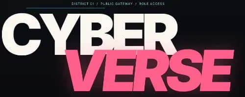 Cyberverse