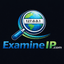 VPN Leak Test