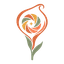 Callirra
