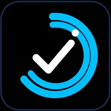 Website Auditor