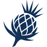 Thistle