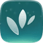 Seedfast