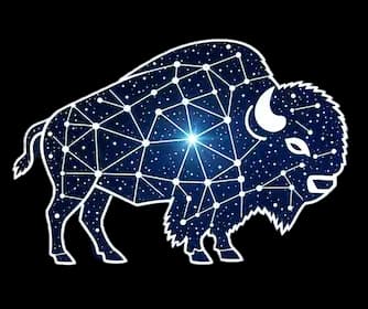Bisonary